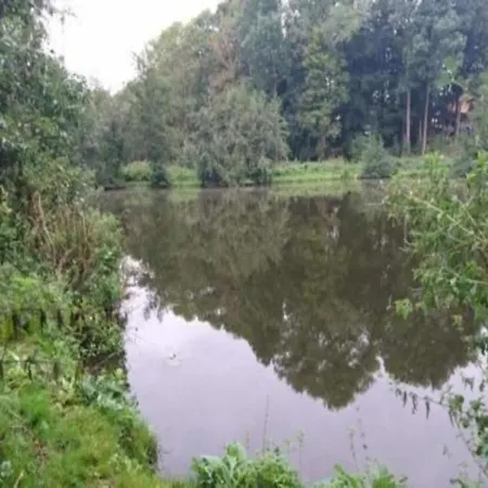 Near Castle Bothmer