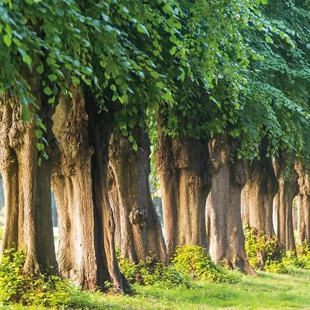 Apartment Near Castle Bothmer