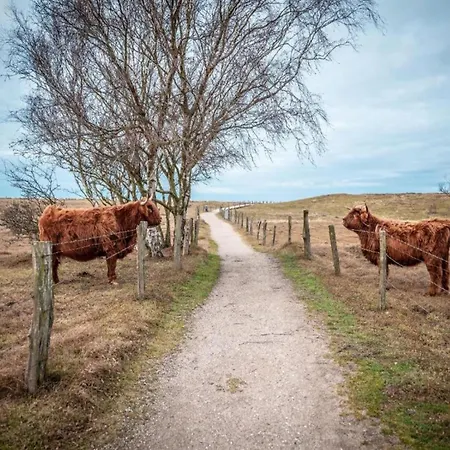 דירה Near Castle Bothmer