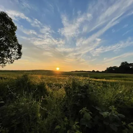 Near Castle Bothmer