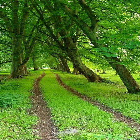 Near Castle Bothmer * Klutz